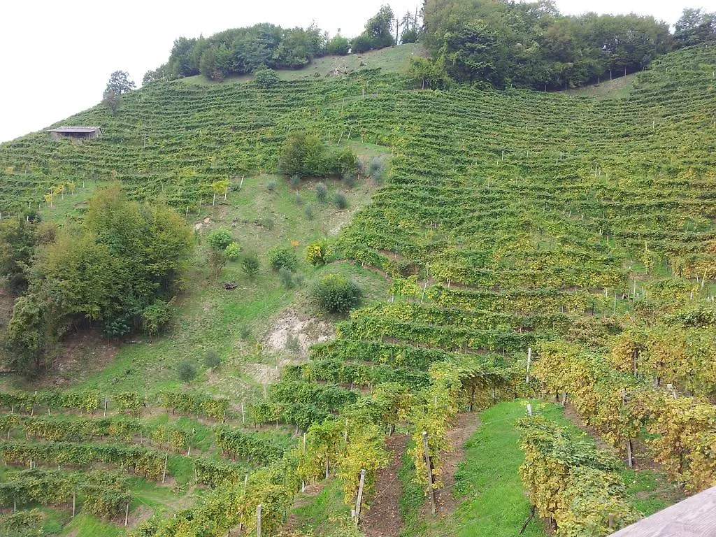 Holiday home A Casa Di Albino E Giovannina Conegliano Italy